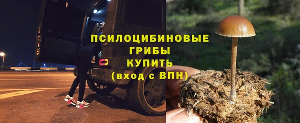 дмт Верхний Тагил