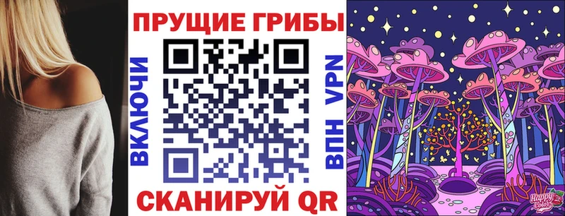 omg ТОР  Карталы  Псилоцибиновые грибы Magic Shrooms  что такое  